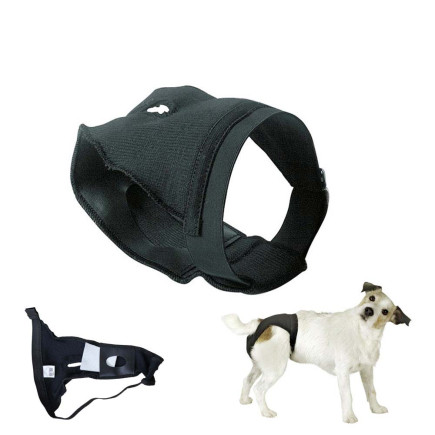 PERRO BRAGUITA PROTECCIÓN PARA PERRA NEGRO