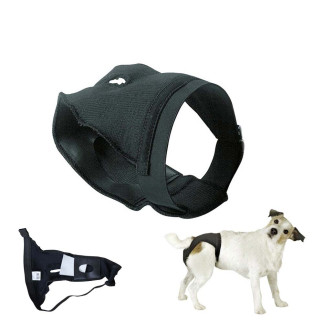 PERRO BRAGUITA PROTECCIÓN PARA PERRA NEGRO