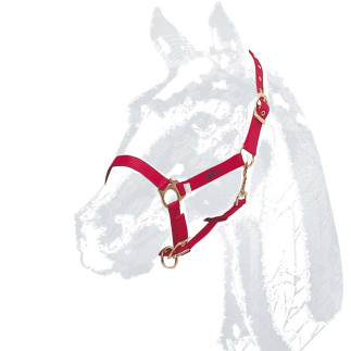 CABEZADA CUADRA CASTECUS NYLON/PVC