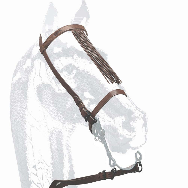 CABEZADA VAQUERA ZALDI EXTRA CON MOSQUERO
