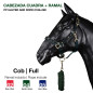 CABEZADA CUADRA + RAMAL PP