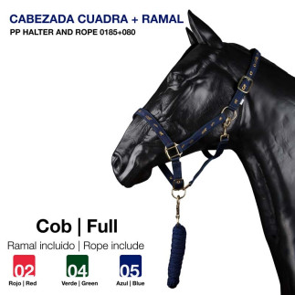 CABEZADA CUADRA + RAMAL PP