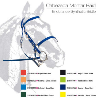 CABEZADA MONTAR RAID