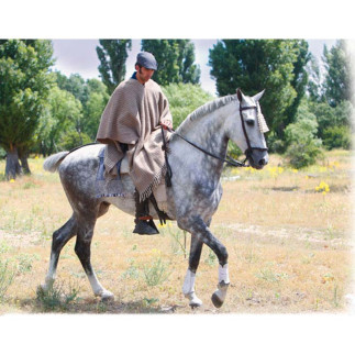 PONCHO ROCIERO DE LANA EXTRA