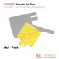 PROTECTOR ICEFORCE REPUESTO GEL PACK unidad