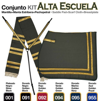 CONJUNTO ALTA ESCUELA MMeP