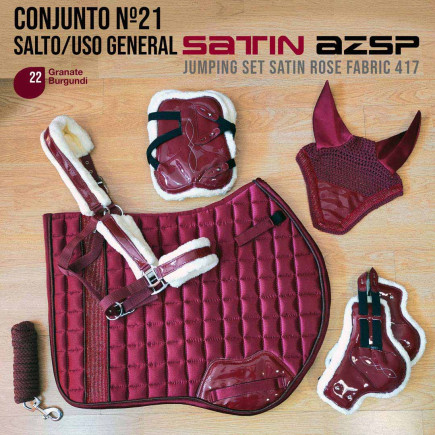 CONJUNTO Nº21 SALTO/U-G SATIN AZSP 417