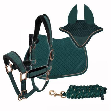 CONJUNTO RETRO CHIC SALTO MANTILLA +M+C+R