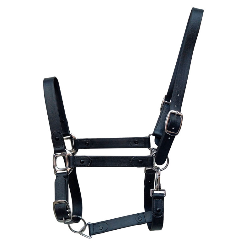 CABEZADA CUADRA BIOTANE AZBT-829