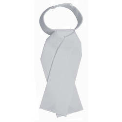 PLASTRON