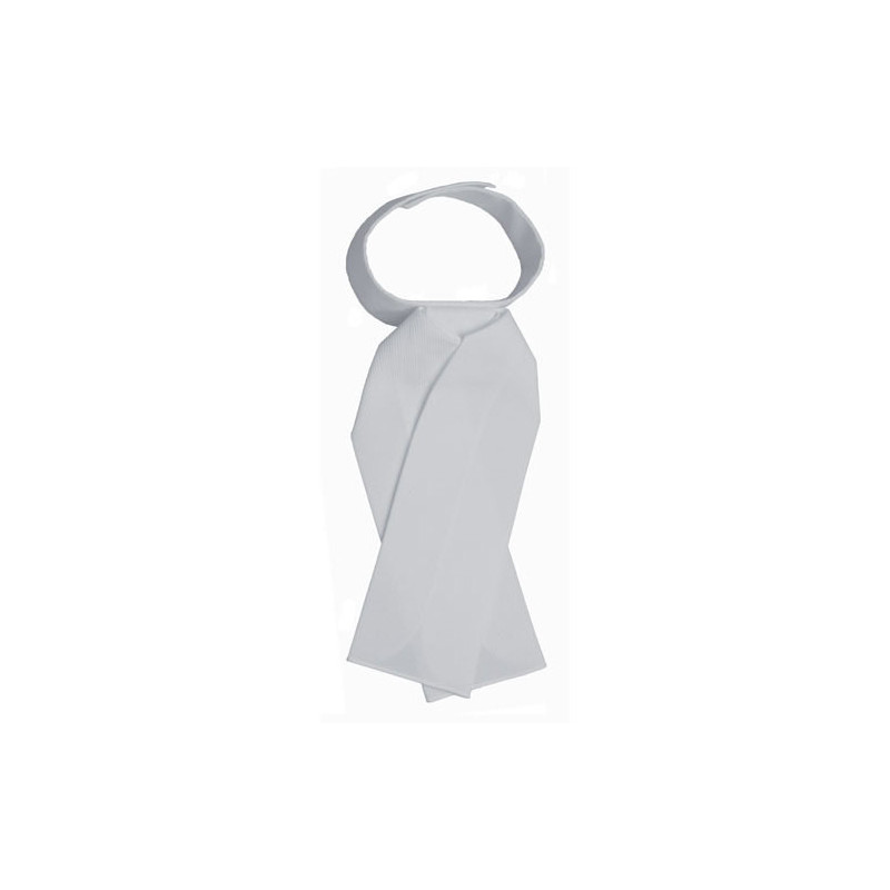 PLASTRON