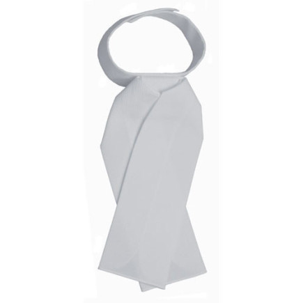 PLASTRON