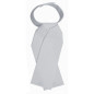 PLASTRON