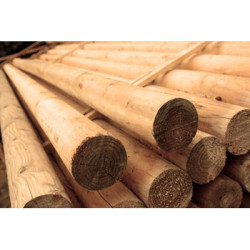 BARRA OBSTACULO MADERA TRATADA 350x9 CM