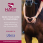 SILLA ING.DOMA CLASICA BATES DRESSAGE