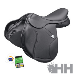 SILLA ING.SALTO BATES ELEVATION+