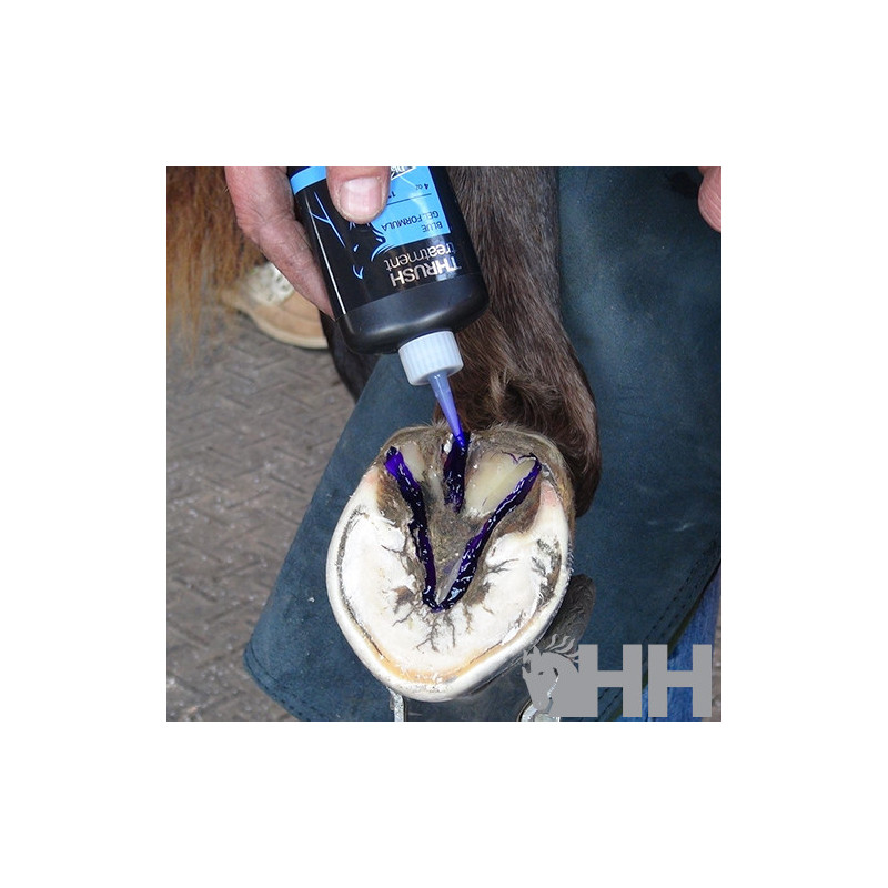 HIGIENIZADOR DE CASCOS DIAMOND FROG DRESSING