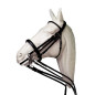 CABEZADA INGLESA LEXHIS DOBLE RIENDA MUSEROLA DOS PIEZAS