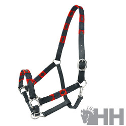 CABEZADA CUADRA LEXHIS CUERO MODELO NAVAJO