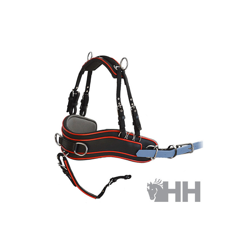 PECHOPETRAL ENGANCHE LEXHIS HANOVER ANATÓMICO SENCILLO (JUEGO COMPLETO)