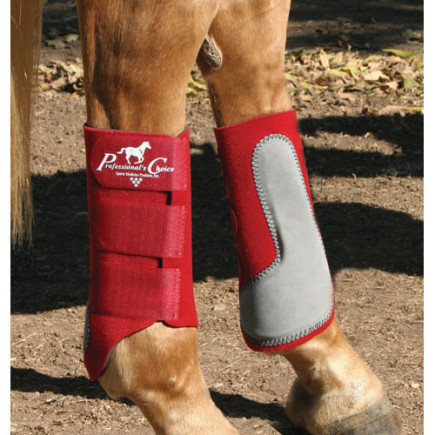 PROTECTOR PROFESSIONAL'S CHOICE EASY FIT (PAR)