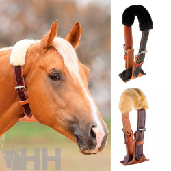 COLLAR AIRE PROFESSIONAL'S CHOICE DARE