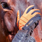 GUANTE ROECKL WISBECH INVIERNO (PAR)