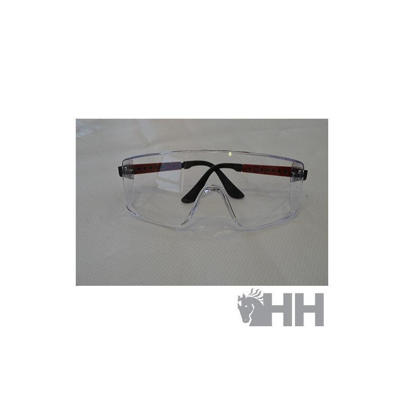 GAFAS PROTECCION HERRADOR REF.LUNETTEMASQUE