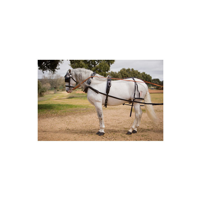 ENGANCHE HH KEIFFER COLLARIN SENCILLO