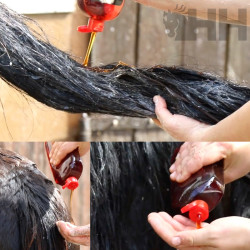 CHAMPU LEOVET POWER PARA CABALLOS DE CAPA OSCURA