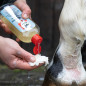 LOCION LEOVET FIRST AID MED-WASH LOCION LEOVET FIRST AID MED-WASH