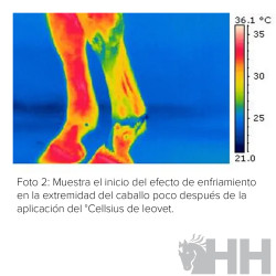 GEL TENDONES REFRESCANTE LEOVET CELLSIUS