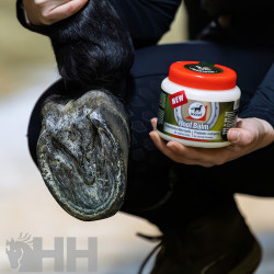 BALSAMO LEOVET HOOF BALM PREBIOTIC PARA CASCOS