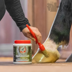 POMADA LEOVET HOOF LAB PARA CASCOS