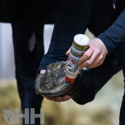 ENDURECEDOR LEOVET HOOF LAB PARA CASCOS