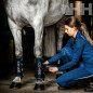 PROTECTOR HORSEWARE ICE-VIBE NEW (SET COMPLETO) TENDON