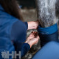 BAJO VENDA HORSEWARE IONIC (JUEGO 2)