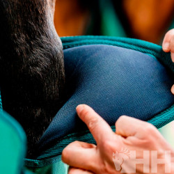 PROTECTOR HORSEWARE SIGNATURE TRANSPORTE (JUEGO 4)