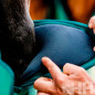 PROTECTOR HORSEWARE SIGNATURE TRANSPORTE (JUEGO 4)