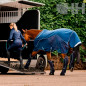 PROTECTOR HORSEWARE SIGNATURE TRANSPORTE (JUEGO 4)