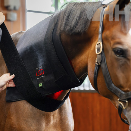 MANTILLA TERAPEUTICA HORSEWARE LED RED LIGHT