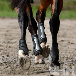 PROTECTOR ZANDONÀ CARBON CHIC TENDON (PAR)