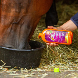 JARABE EQUINATURA HERBAL SYRUP