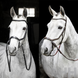 CABEZADA INGLESA HORSEWARE MICKLEM BITLESS BRIDLE