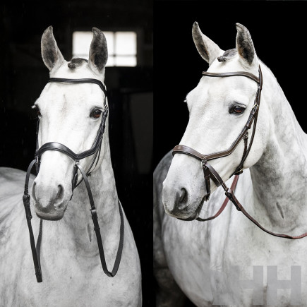 CABEZADA INGLESA HORSEWARE MICKLEM BITLESS BRIDLE