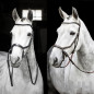 CABEZADA INGLESA HORSEWARE MICKLEM BITLESS BRIDLE