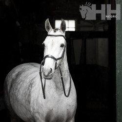 CABEZADA INGLESA HORSEWARE MICKLEM BITLESS BRIDLE