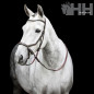 CABEZADA INGLESA HORSEWARE MICKLEM BITLESS BRIDLE