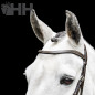 CABEZADA INGLESA HORSEWARE MICKLEM BITLESS BRIDLE