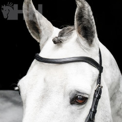 CABEZADA INGLESA HORSEWARE MICKLEM BITLESS BRIDLE